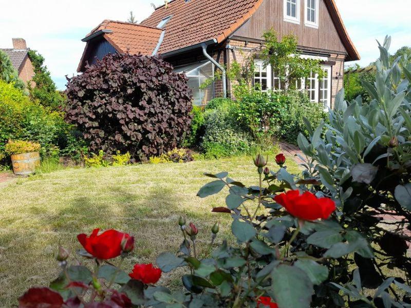 Ferienhaus Gartower See Esterno foto