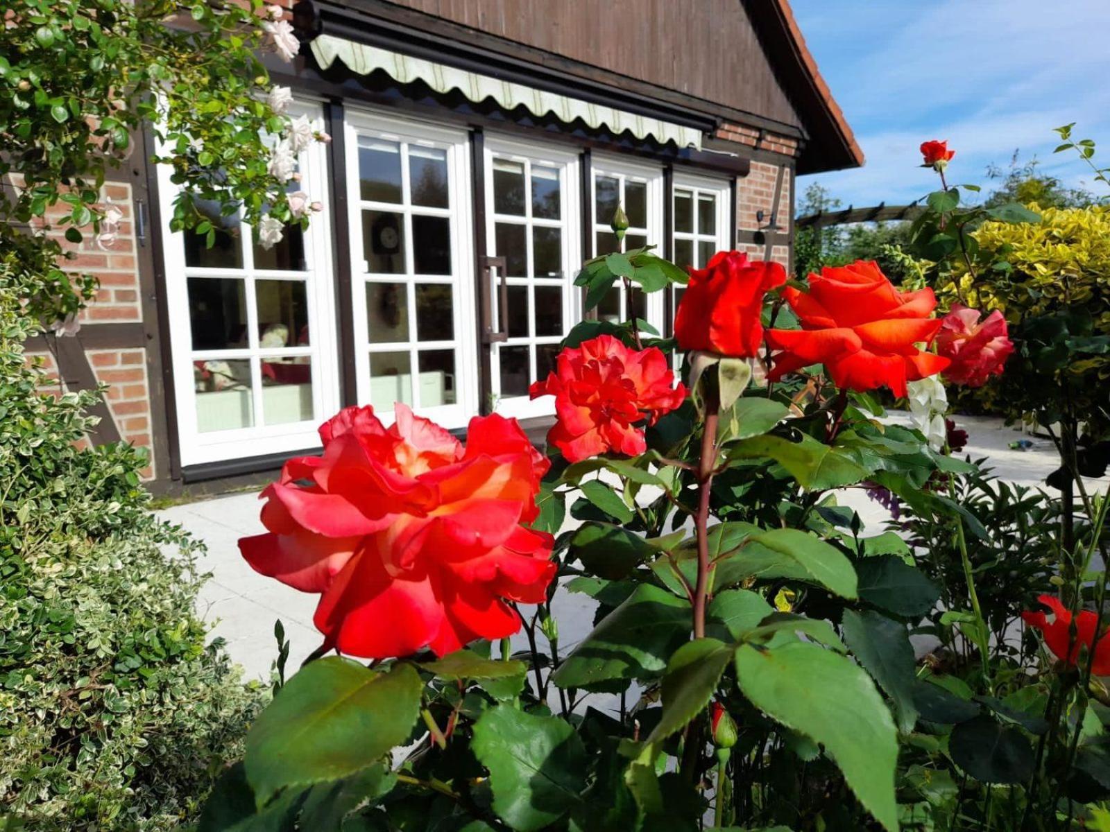 Ferienhaus Gartower See Esterno foto